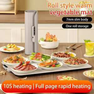 Fast Heating Food Electric Warming Tray